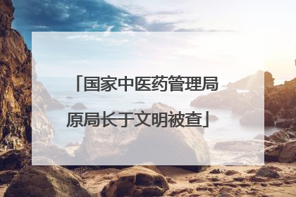 国家中医药管理局原局长于文明被查