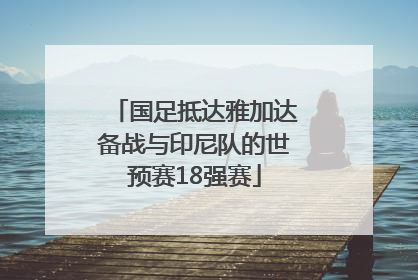 国足抵达雅加达备战与印尼队的世预赛18强赛