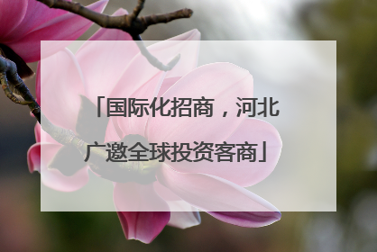 国际化招商，河北广邀全球投资客商