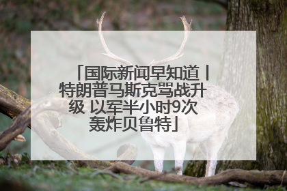 国际新闻早知道丨特朗普马斯克骂战升级 以军半小时9次轰炸贝鲁特