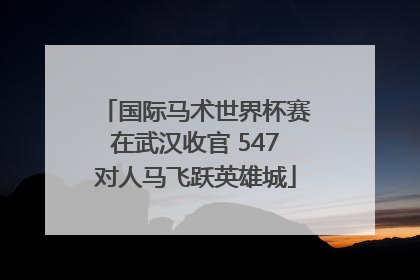国际马术世界杯赛在武汉收官 547对人马飞跃英雄城