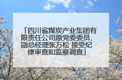 四川省煤炭产业集团有限责任公司原党委委员、副总经理张万松 接受纪律审查和监察调查