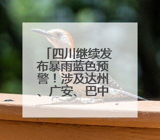 四川继续发布暴雨蓝色预警！涉及达州、广安、巴中等地