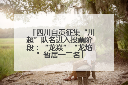 四川自贡征集“川超”队名进入投票阶段：“龙焱”“龙焰”暂居一二名