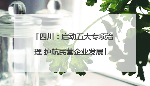 四川：启动五大专项治理 护航民营企业发展