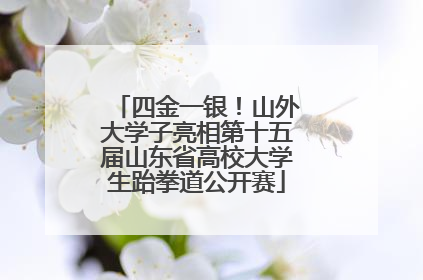 四金一银！山外大学子亮相第十五届山东省高校大学生跆拳道公开赛