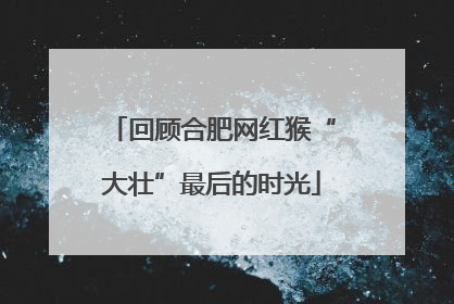 回顾合肥网红猴“大壮”最后的时光