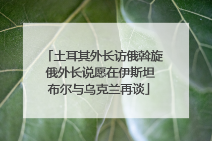 土耳其外长访俄斡旋 俄外长说愿在伊斯坦布尔与乌克兰再谈