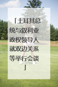 土耳其总统与叙利亚政权领导人就双边关系等举行会谈