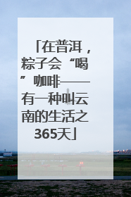 在普洱，粽子会“喝”咖啡——有一种叫云南的生活之365天