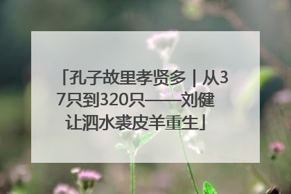 孔子故里孝贤多｜从37只到320只——刘健让泗水裘皮羊重生