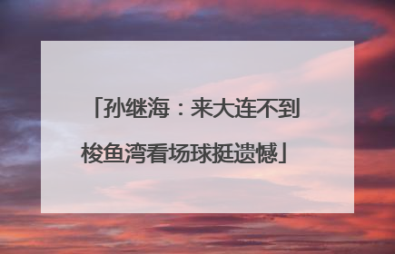 孙继海：来大连不到梭鱼湾看场球挺遗憾