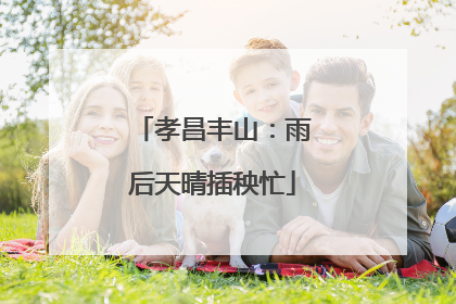 孝昌丰山：雨后天晴插秧忙