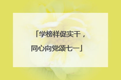 学榜样促实干，同心向党颂七一