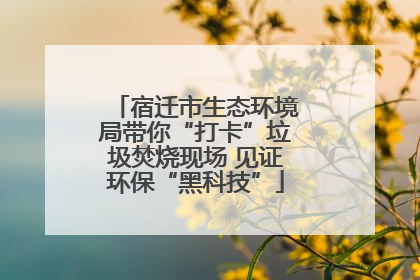 宿迁市生态环境局带你“打卡”垃圾焚烧现场 见证环保“黑科技”
