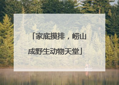 家底摸排，崂山成野生动物天堂