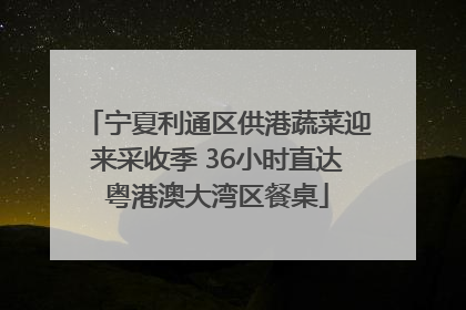 宁夏利通区供港蔬菜迎来采收季 36小时直达粤港澳大湾区餐桌