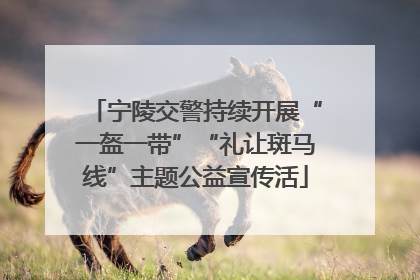 宁陵交警持续开展“一盔一带”“礼让斑马线”主题公益宣传活