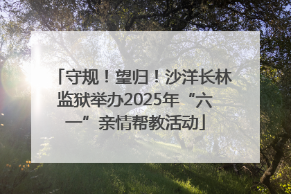 守规！望归！沙洋长林监狱举办2025年“六一”亲情帮教活动
