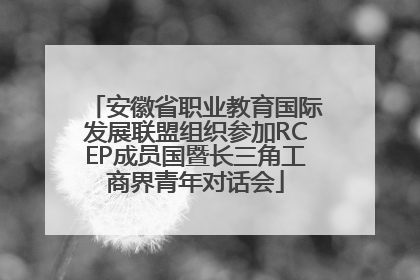 安徽省职业教育国际发展联盟组织参加RCEP成员国暨长三角工商界青年对话会