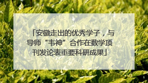 安徽走出的优秀学子，与导师“韦神”合作在数学顶刊发论表重要科研成果