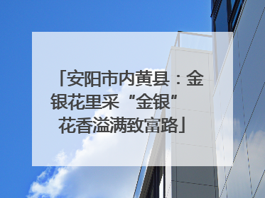 安阳市内黄县：金银花里采“金银” 花香溢满致富路