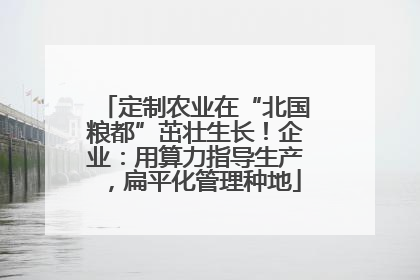 定制农业在“北国粮都”茁壮生长！企业：用算力指导生产，扁平化管理种地