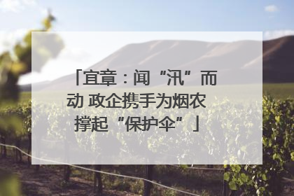 宜章：闻“汛”而动 政企携手为烟农撑起“保护伞”