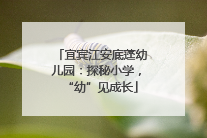 宜宾江安底蓬幼儿园：探秘小学，“幼”见成长