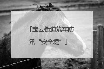 宝云街道筑牢防汛“安全堤”