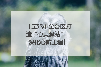 宝鸡市金台区打造“心灵驿站” 深化心防工程