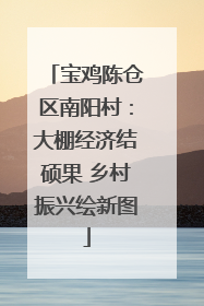 宝鸡陈仓区南阳村：大棚经济结硕果 乡村振兴绘新图
