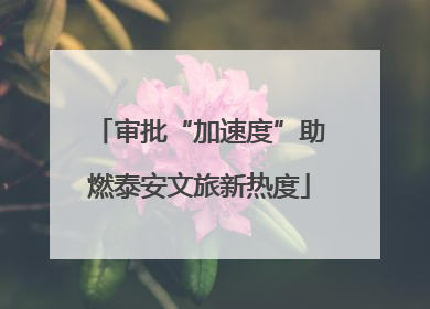 审批“加速度”助燃泰安文旅新热度