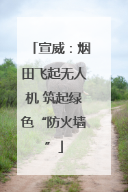 宣威：烟田飞起无人机 筑起绿色“防火墙”