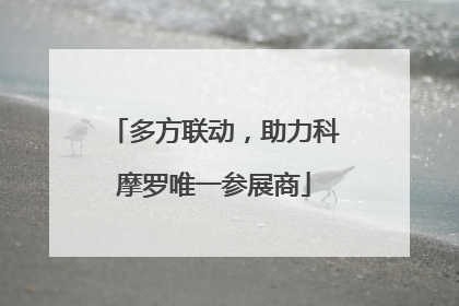 多方联动，助力科摩罗唯一参展商