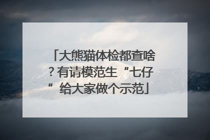 大熊猫体检都查啥？有请模范生“七仔”给大家做个示范