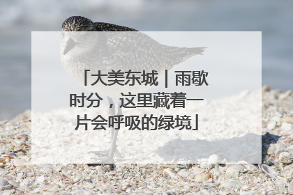 大美东城｜雨歇时分，这里藏着一片会呼吸的绿境