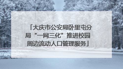 大庆市公安局卧里屯分局“一网三化”推进校园周边流动人口管理服务