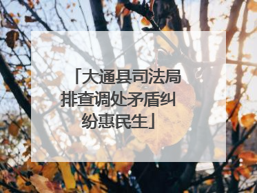 大通县司法局排查调处矛盾纠纷惠民生