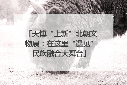 天博“上新”北朝文物展：在这里“遇见”民族融合大舞台