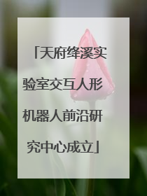 天府绛溪实验室交互人形机器人前沿研究中心成立