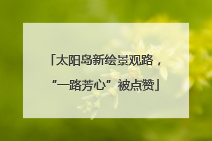 太阳岛新绘景观路，“一路芳心”被点赞