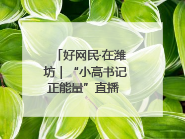 好网民·在潍坊｜“小高书记正能量”直播 带动群众致富