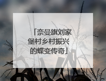 奈曼旗刘家堡村乡村振兴的蝶变传奇