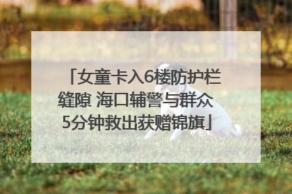 女童卡入6楼防护栏缝隙 海口辅警与群众5分钟救出获赠锦旗