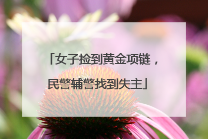 女子捡到黄金项链，民警辅警找到失主