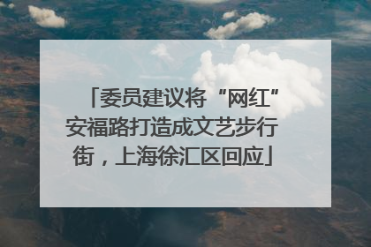 委员建议将“网红”安福路打造成文艺步行街，上海徐汇区回应