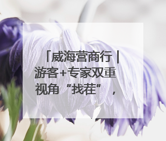 威海营商行｜游客+专家双重视角“找茬”，经开区文旅市场开展暑期前“体检”