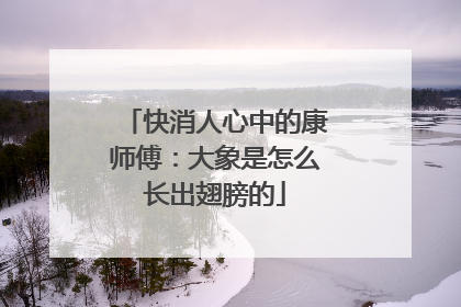 快消人心中的康师傅：大象是怎么长出翅膀的