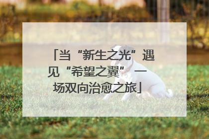 当“新生之光”遇见“希望之翼” 一场双向治愈之旅